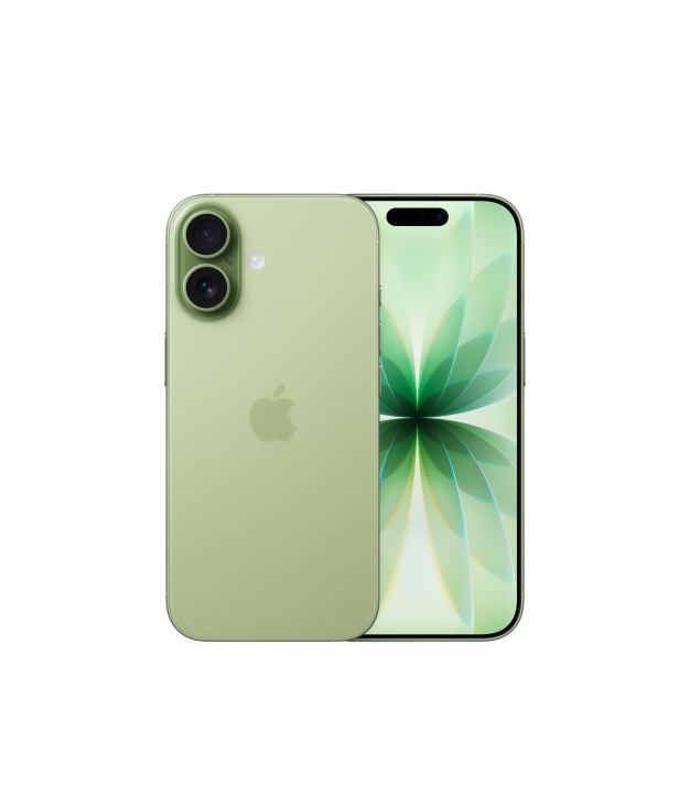 iPhone 17 256GB Sage