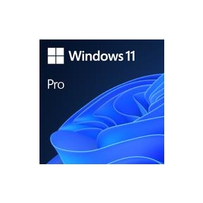 Software, MICROSOFT, Win 11 Pro GGK 64Bit Eng Intl 1pk DSP ORT OEI DVD, Win Pro, OEM, English, 4YR-00316