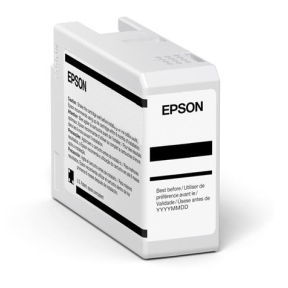 EPSON 1LB Singlepack Light Gray T47A9