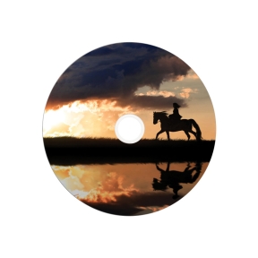 VERBATIM 25xDVD+R DL 8,5 GB 8x SP