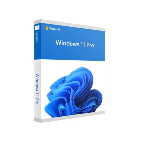 Software, MICROSOFT, Win Pro FPP 11 64-bit Eng Intl USB, Win Pro, Retail, HAV-00163