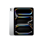 iPad Pro 11" 2024 2TB WiFi w/Standard Glass Silver