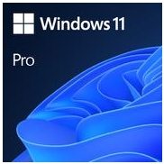Software, MICROSOFT, Win 11 Pro GGK 64Bit Eng Intl 1pk DSP ORT OEI DVD, Win Pro, OEM, English, 4YR-00316