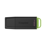 Kingston Technology DataTraveler 256GB Portable USB 3.2 Gen 1 Exodia Black/Green