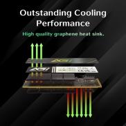 SSD, AGI, 600xTBW rating, MTBF 1600000 h, Read speed 4700 MB/s, Write speed 2800 MB/s, NVMe Yes, PCI Express 4.0, M.2, 1000 GB, AGI1T0G43AI818-CB