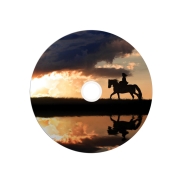 VERBATIM 25xDVD+R DL 8,5 GB 8x SP