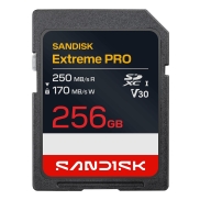 MEMORY SDXC 256GB UHS-1/SDSDXXJ-256G-GSCIN SANDISK