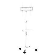 GEMBIRD TV floor stand w caster wheels