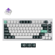 KEYBOARD WRL Q1 HE RGB/SHELL WHITE Q1H-P1 KEYCHRON