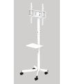 GEMBIRD TV floor stand w caster wheels sīkattēls