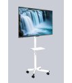 GEMBIRD TV floor stand w caster wheels sīkattēls