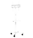 GEMBIRD TV floor stand w caster wheels sīkattēls