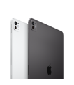 Apple iPad Pro 11-inch (M4), 16GB, 2TB, Wi-Fi, Silver sīkattēls