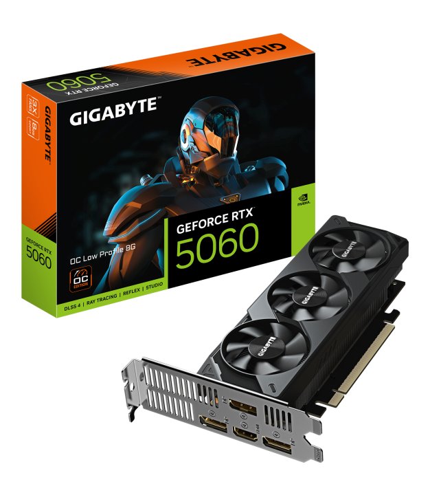 GIGABYTE GeForce RTX5060 OC LP 8GB